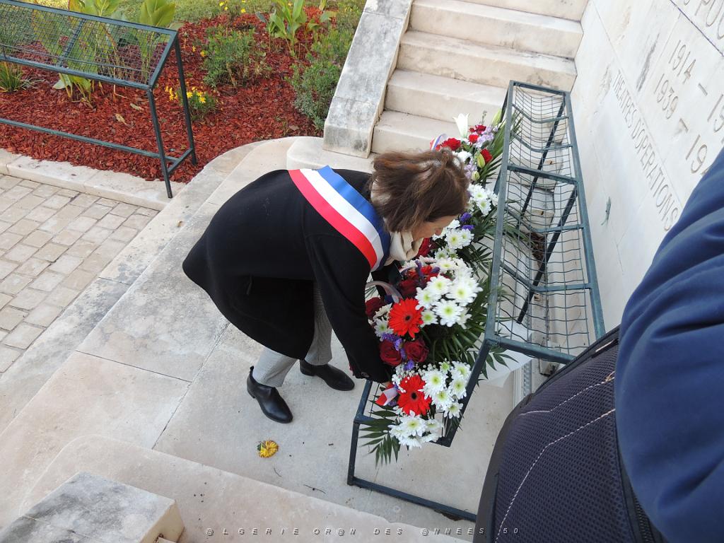 2022 12 05 TOULON HOMMAGE AUX MORTS POUR LA FRANCE EN AFN (41).JPG -           